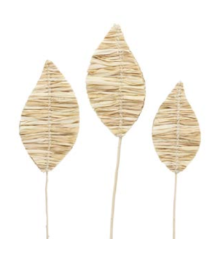 branche zea mays h100cm