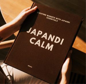 Alternative view of boite livre japandi calm