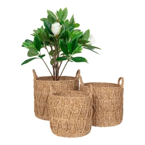 panier en osier 28x25