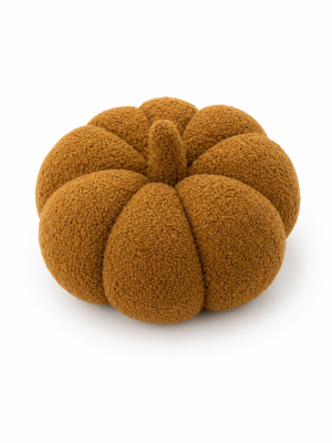 Coussin citrouille marron