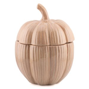 pot citrouille 17x14cm