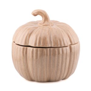 pot citrouille 15x15cm