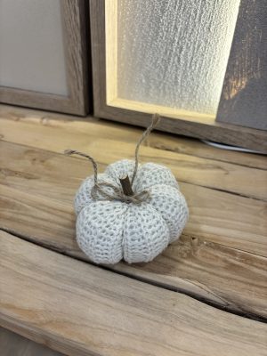 Alternative view of Mini citrouille