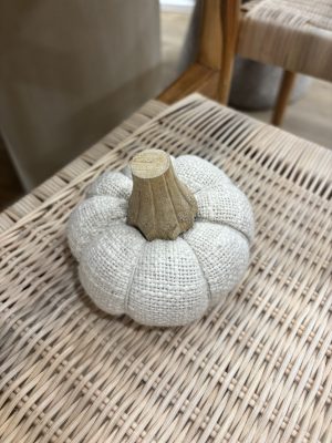 Alternative view of Citrouille beige moyenne