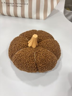 Alternative view of Citrouille bouclette marron