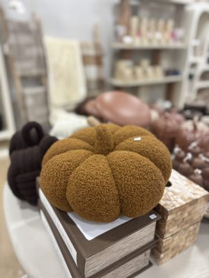 Alternative view of Coussin citrouille marron